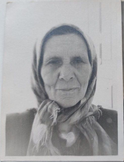 Анастасия Михайловна Камышанова